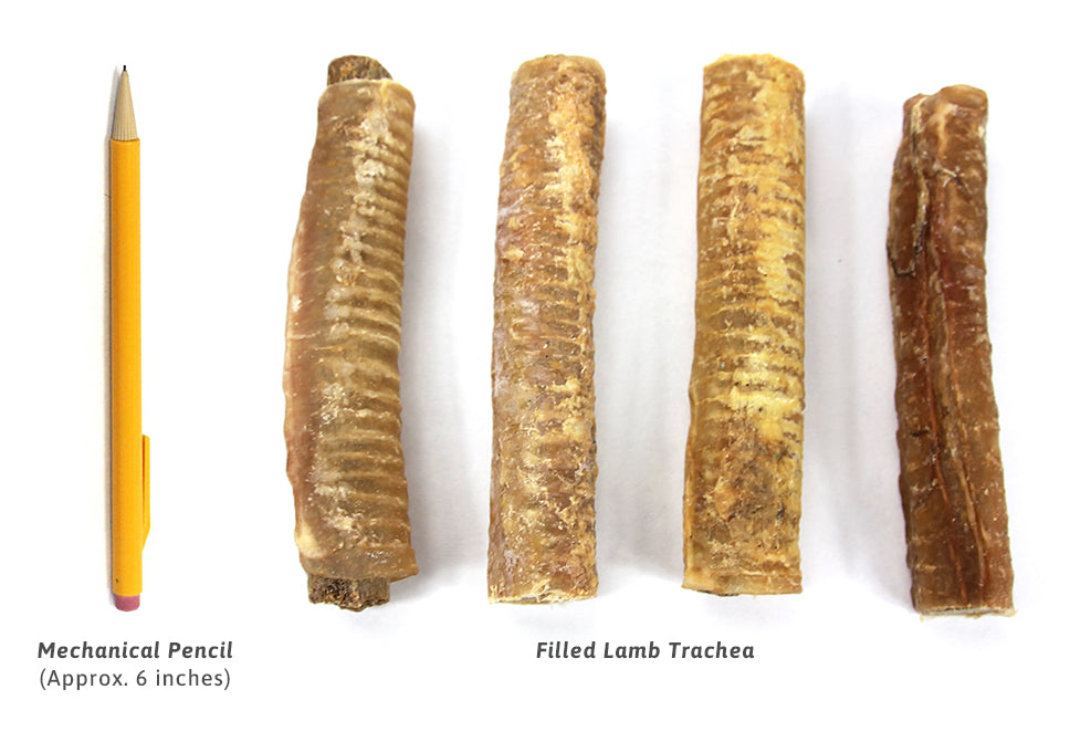 Lamb trachea for dogs hotsell