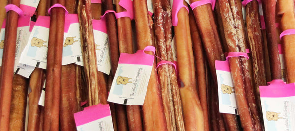 Everything you Ever Wanted To Know About Bully Sticks