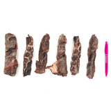 7" Charcoal Wrapped Collagen Stick (Bulk)