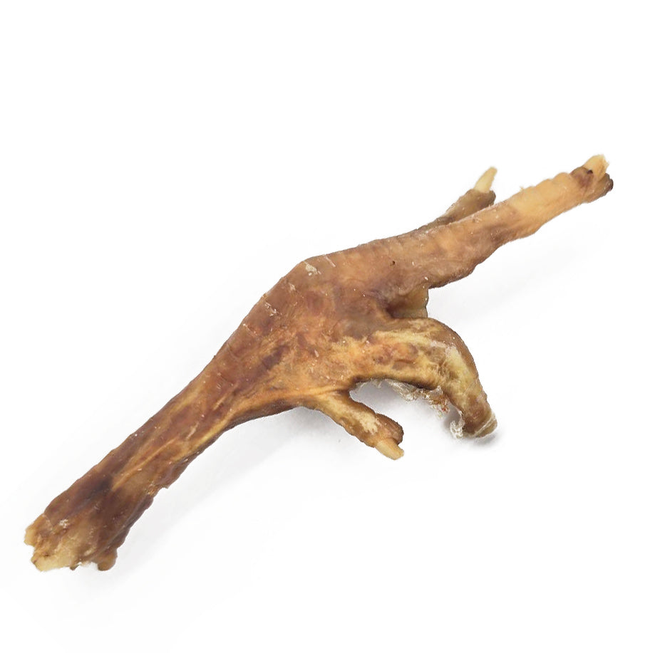 Chicken Feet (Bulk) – Tuesday's Natural Dog Company