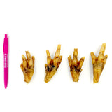 Chicken Paws - 5 Pack