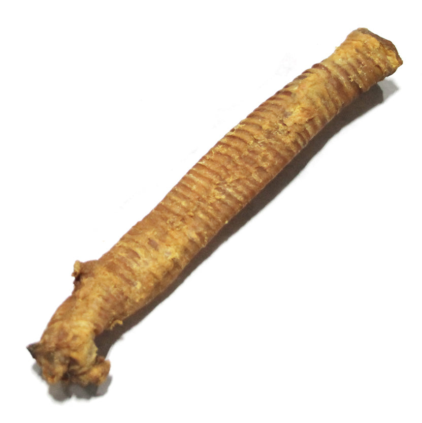 Lamb Trachea Bulk Tuesday s Natural Dog Company