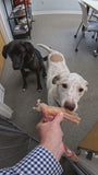 6" Beef Tendons - 5 Pack