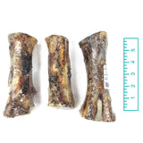 7" Beef Marrow Bone (Bulk)