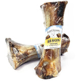 Bison Femur Bone