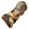 Large Bison Knuckle Bone